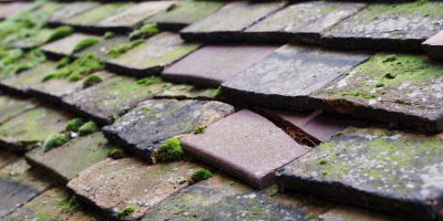 Chadderton roof repair costs